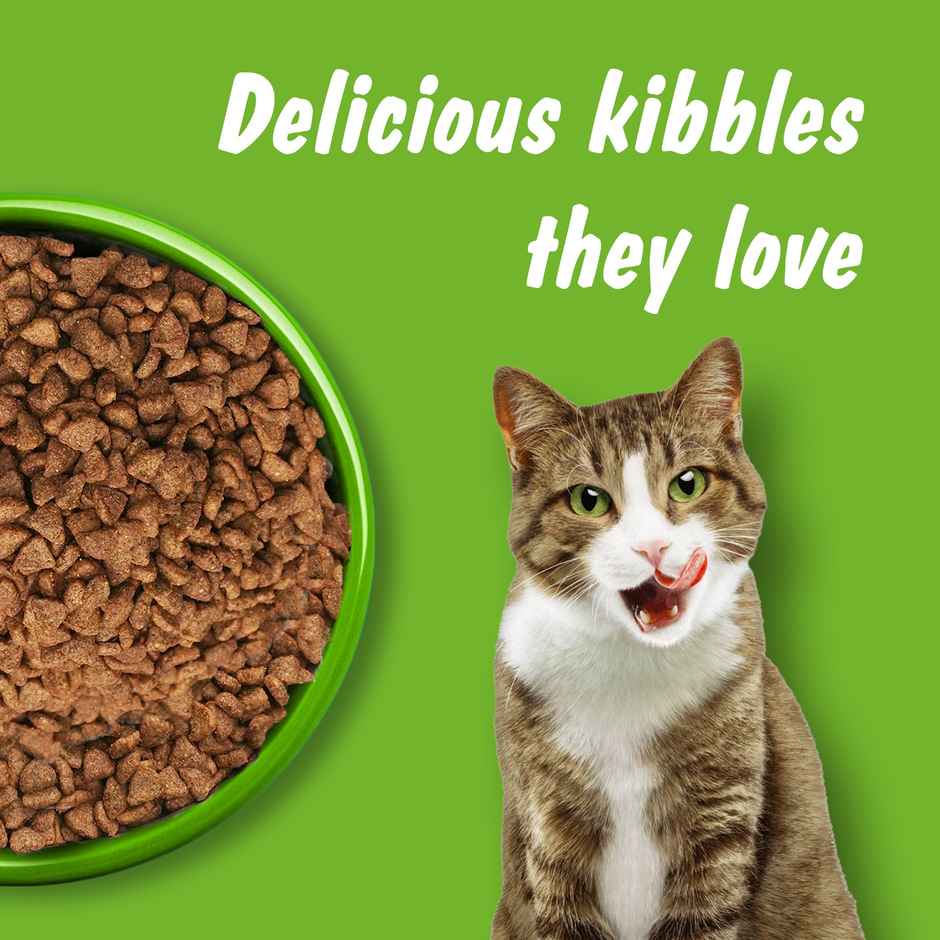 Kitekat Adult Dry Cat Food | Ocean Fish Flavour | 1+ Years