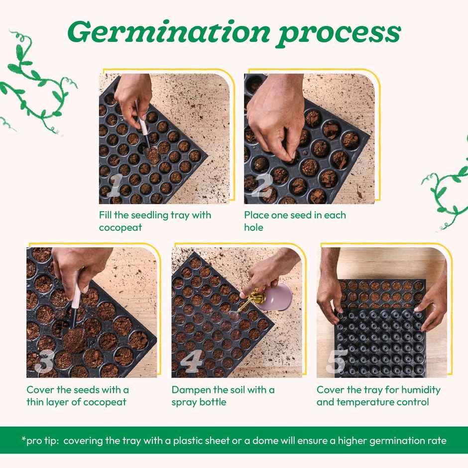 Ugaoo Cherry Tomato Seeds