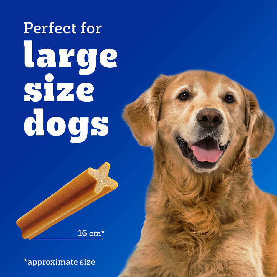 Pedigree Dentastix Adult Large Breed 25 Kg+ | Oral Care Dog Treat