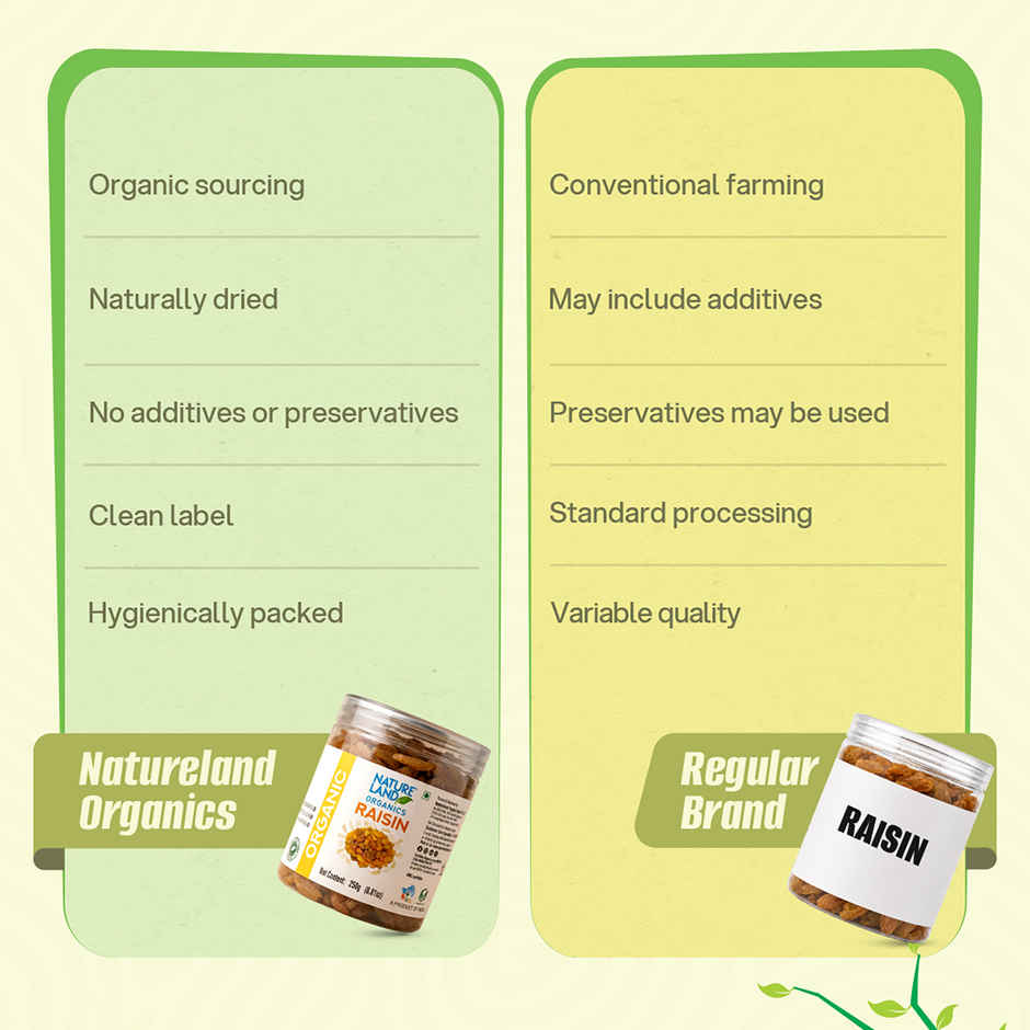 Natureland Organics Raisin