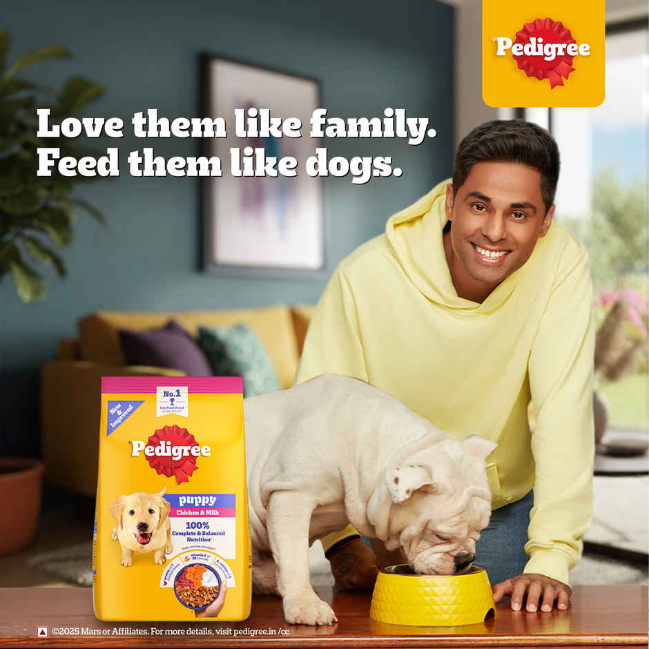 Pedigree Puppy Chicken & Milk Dry Dog Food Combo