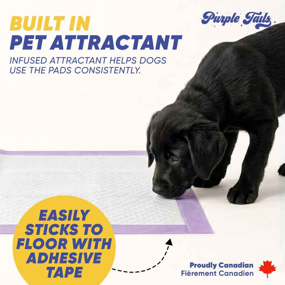 Purple Tails Medium Pet Training Pads