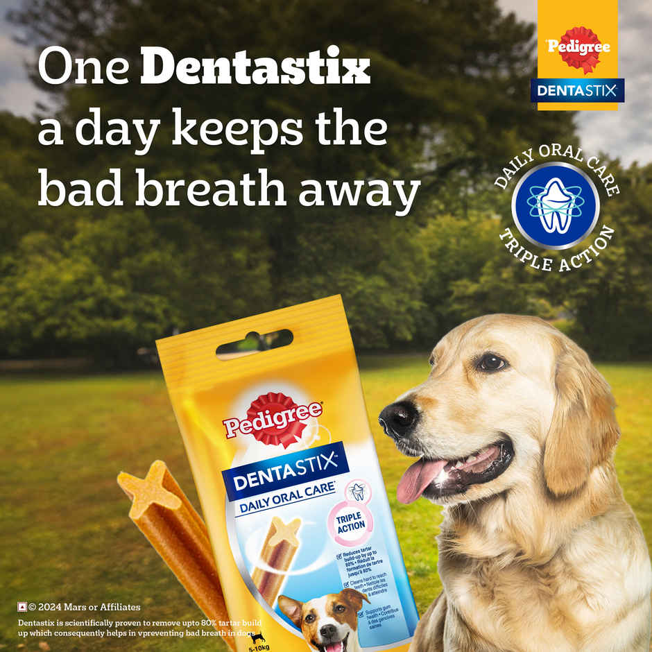 Pedigree Dentastix Adult Small Breed (5-10 Kg) Oral Care Dog Treat