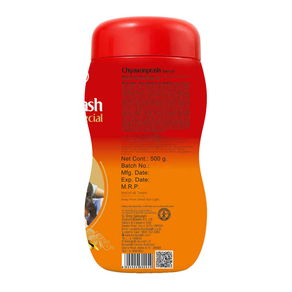 Baidyanath Chyawanprash Special 500g