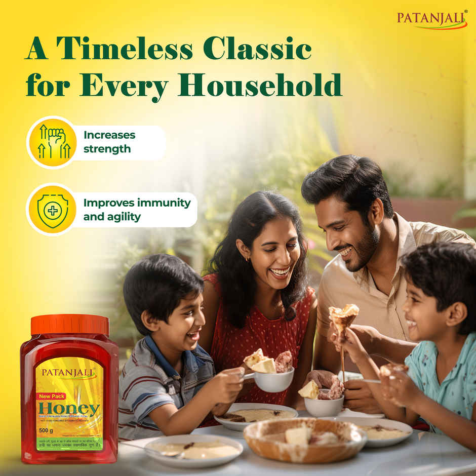Patanjali Pure Natural Honey - No Added Sugar
