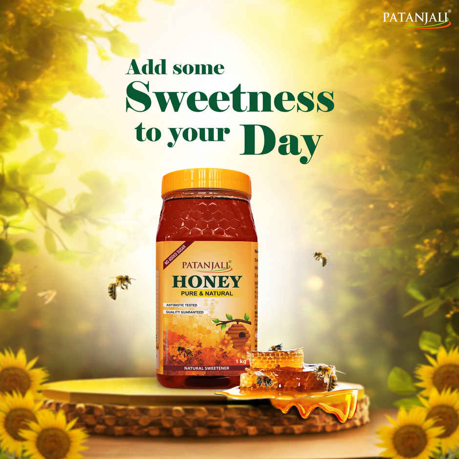 Patanjali Pure Natural Honey - No Added Sugar