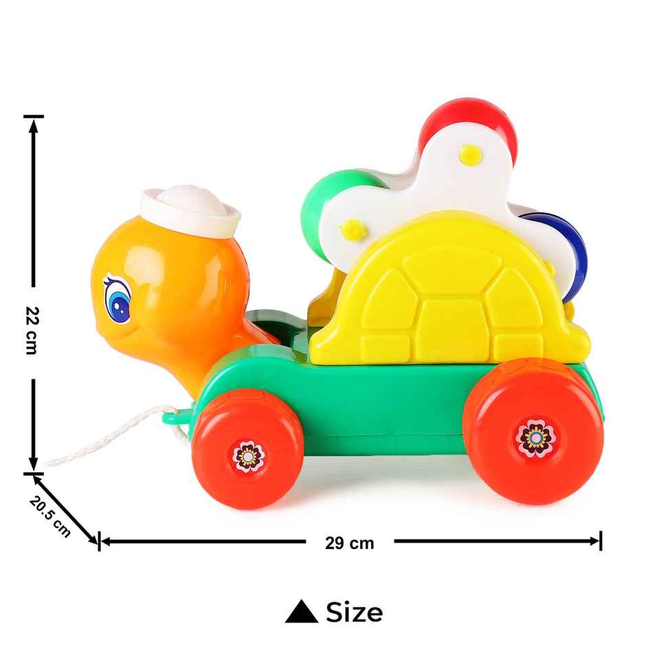 Pulling Rattling Turtle (Assorted)