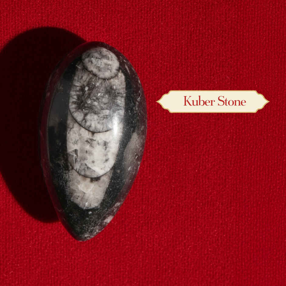 Dhanteras Kuber Potli | Pujashree