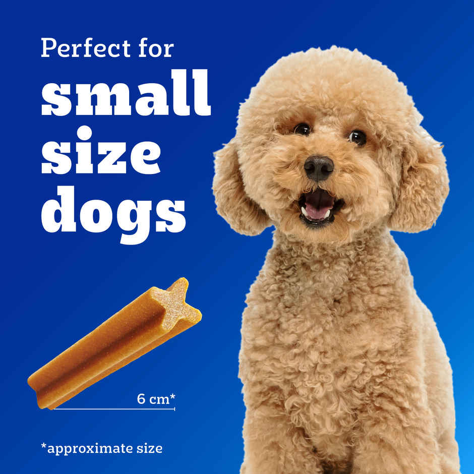Pedigree Dentastix Adult Small Breed 5-10 Kg | Oral Care Dog Treat