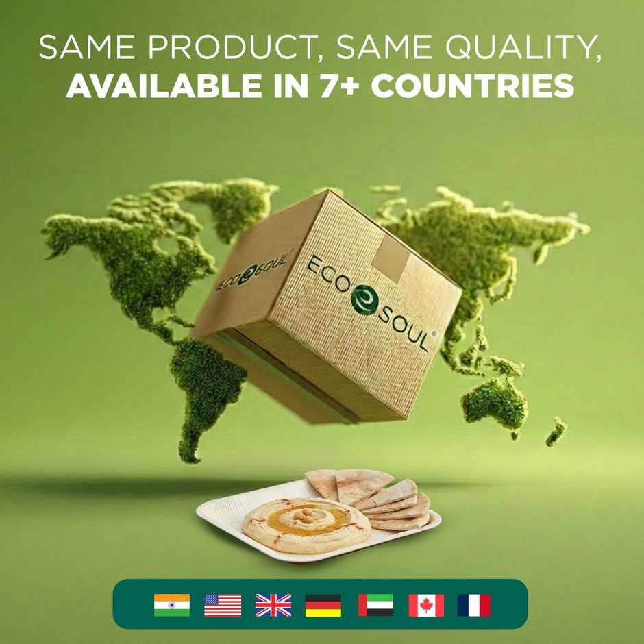 ECO SOUL | Palm Leaf Disposable Plates | 10 Inch | Square | 10 Count