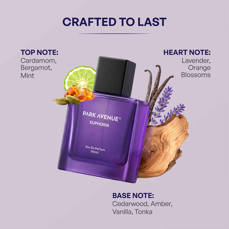 Park Avenue Euphoria Eau De Parfum for Men | Premium Perfume Fragrance
