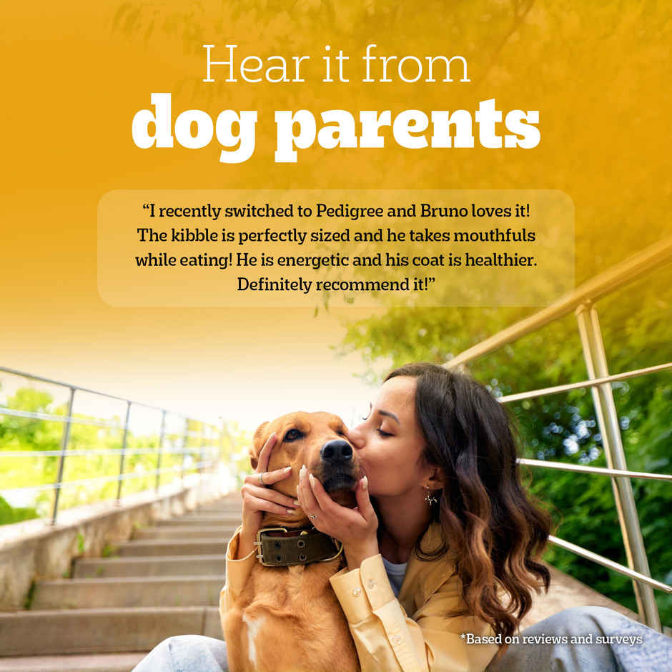 Pedigree Adult & Puppy Dry Dog Food | 100% Vegetarian