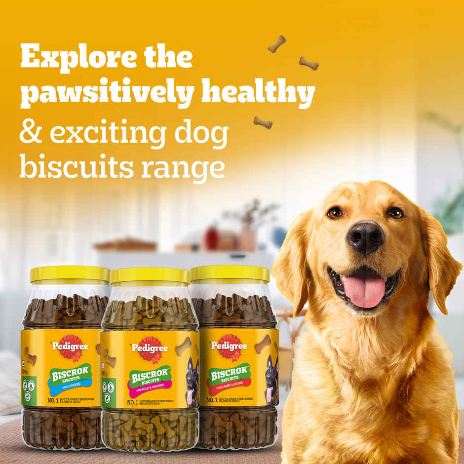 Pedigree Biscrok Dog Biscuits | Above 4 Months | Lamb Flavour | Jar