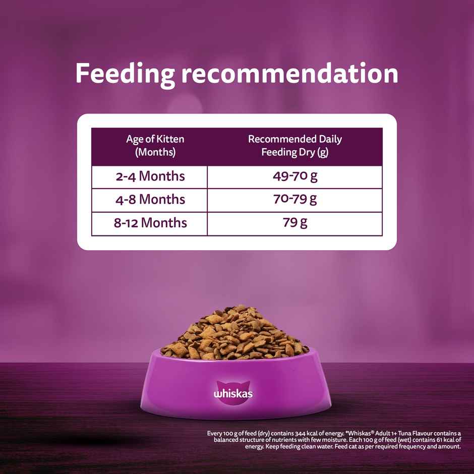 Whiskas Kitten Dry Cat Food, Mackerel Flavour | 2-12 months