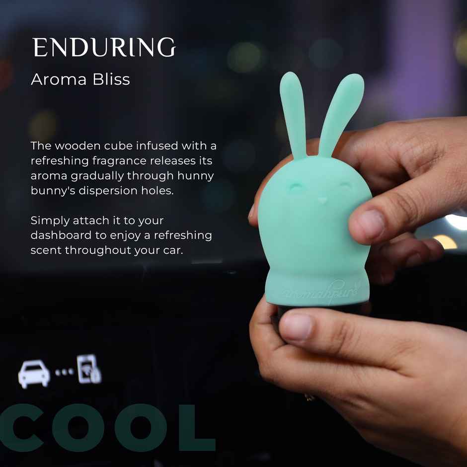Aromahpure Hunny Bunny Car Air Freshner - Aqua Fragrance | Lasts Up to 30 Days - Assorted