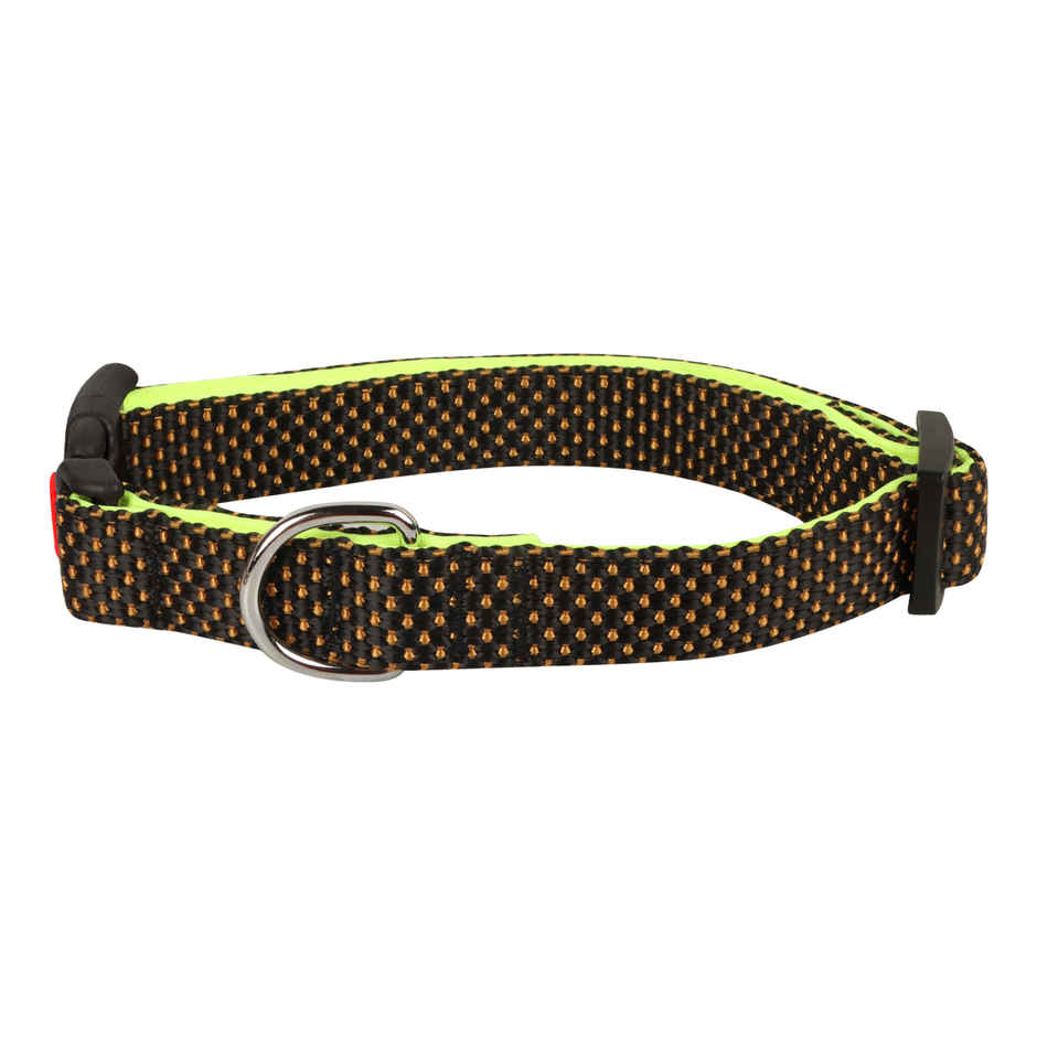 BearHugs Essential Collar | Padded with Lock - Medium