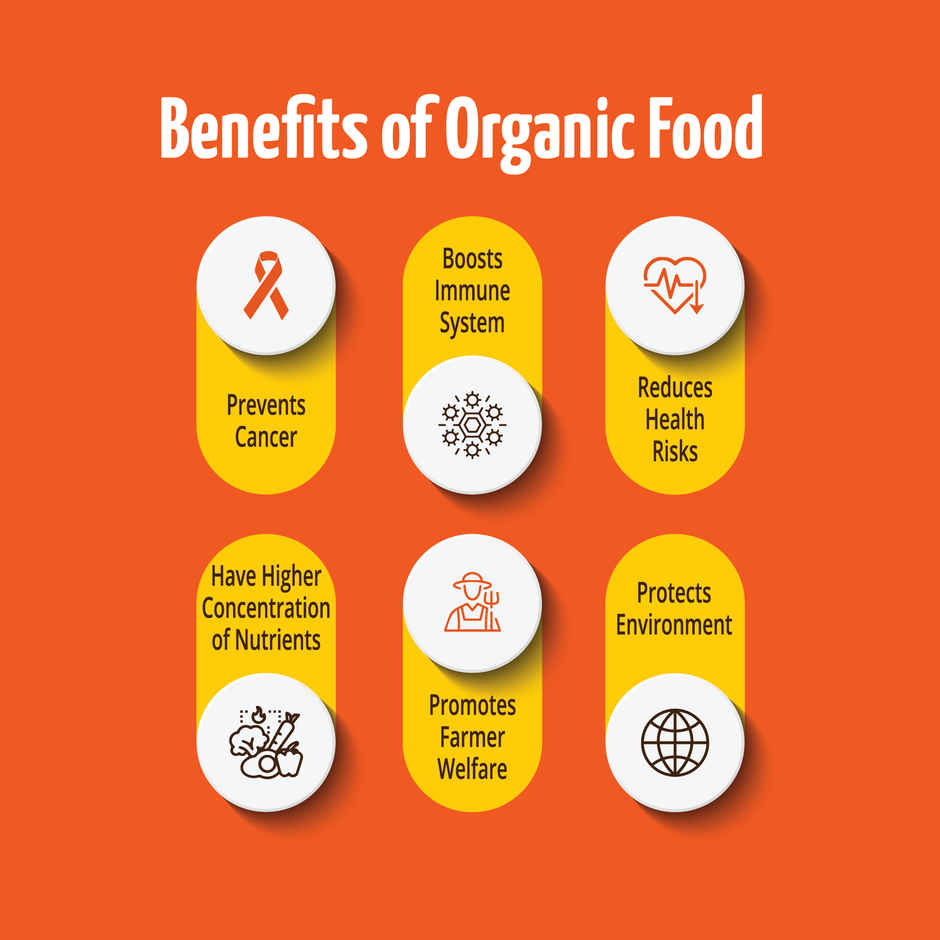 Pro Nature Organic Jaggery Powder