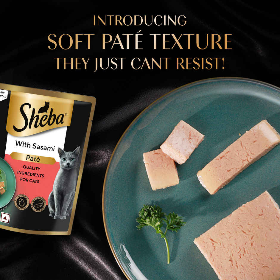 Sheba Pate Adult Wet Cat Food | Sasami