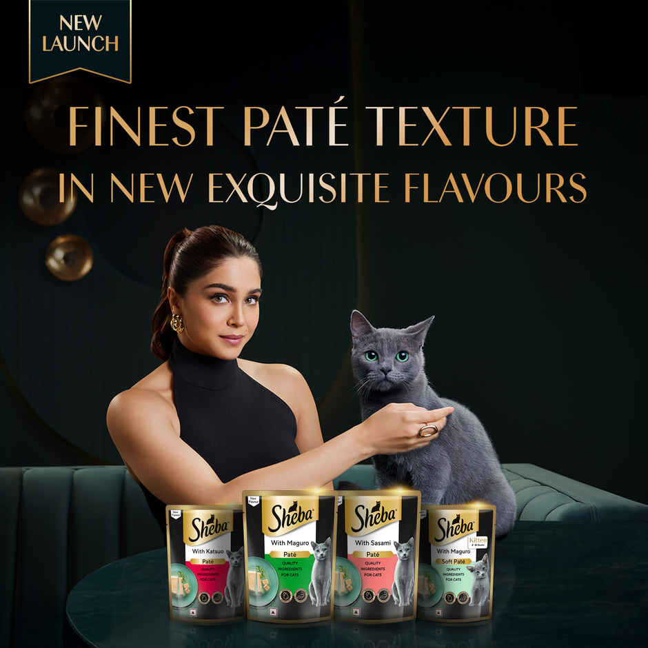 Sheba Pate Adult Wet Cat Food | Sasami