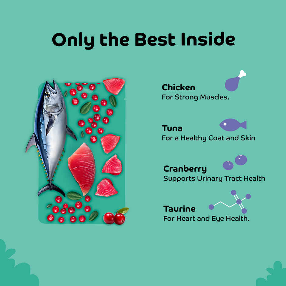 Applod Fish & Cranberry Crunchy Cat Treat |  For Kitten & Adult Cats