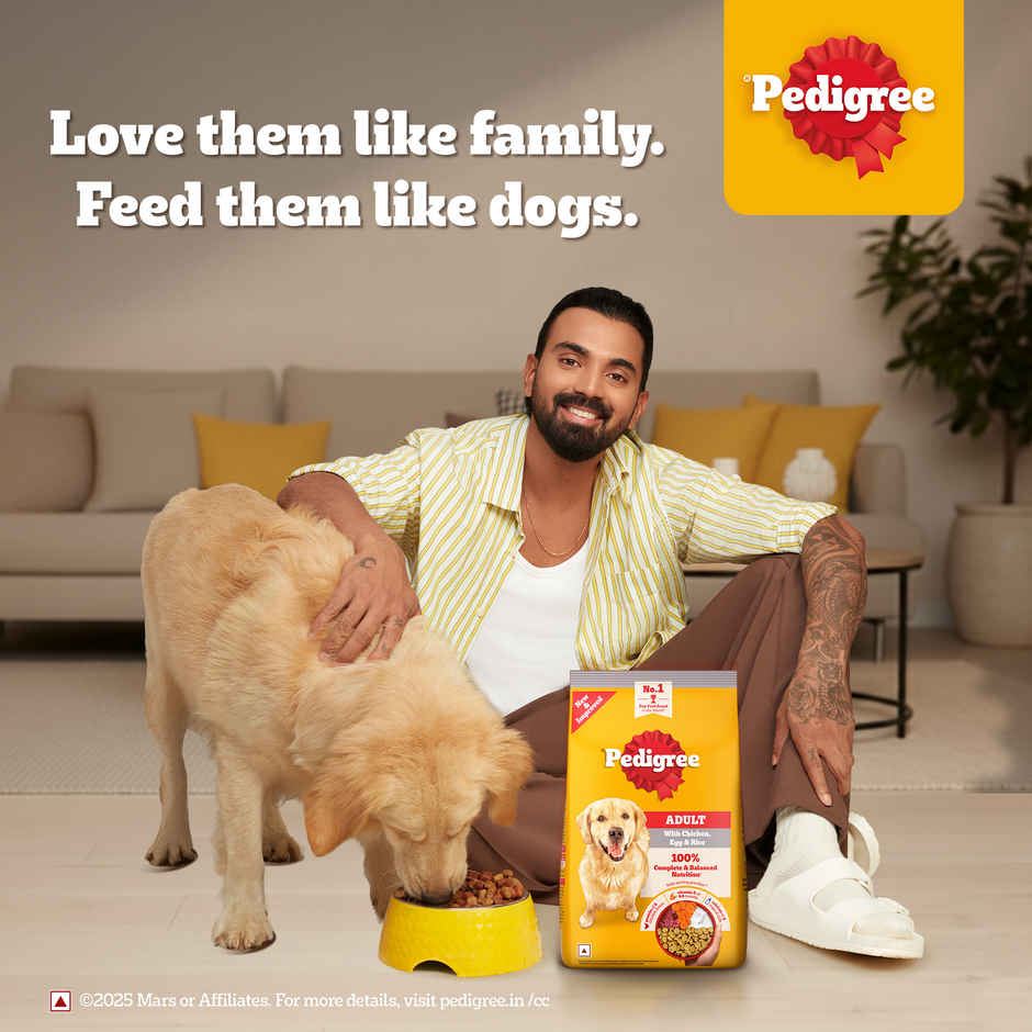 Pedigree Adult Chicken, Egg & Rice Dry Dog Food