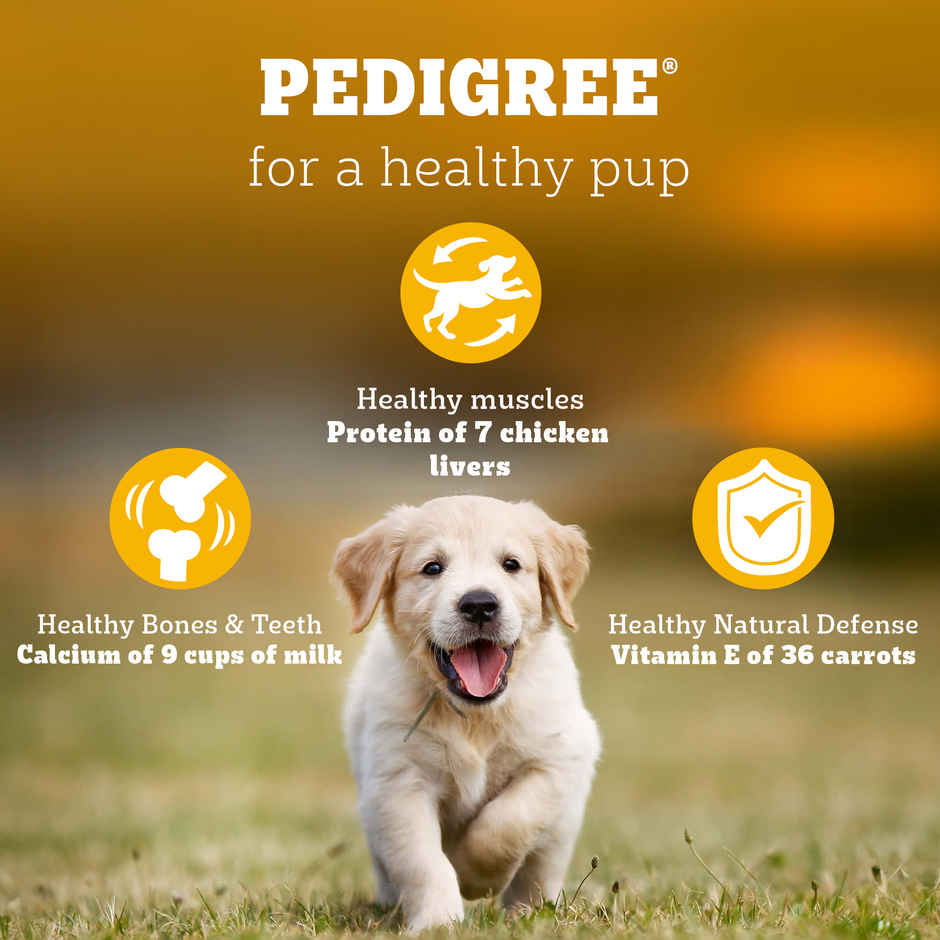 Pedigree Puppy Chicken & Milk Dry Dog Food