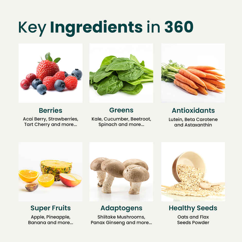 Supply6 360 All in one Multivitamin & Digestive Supplement Powder