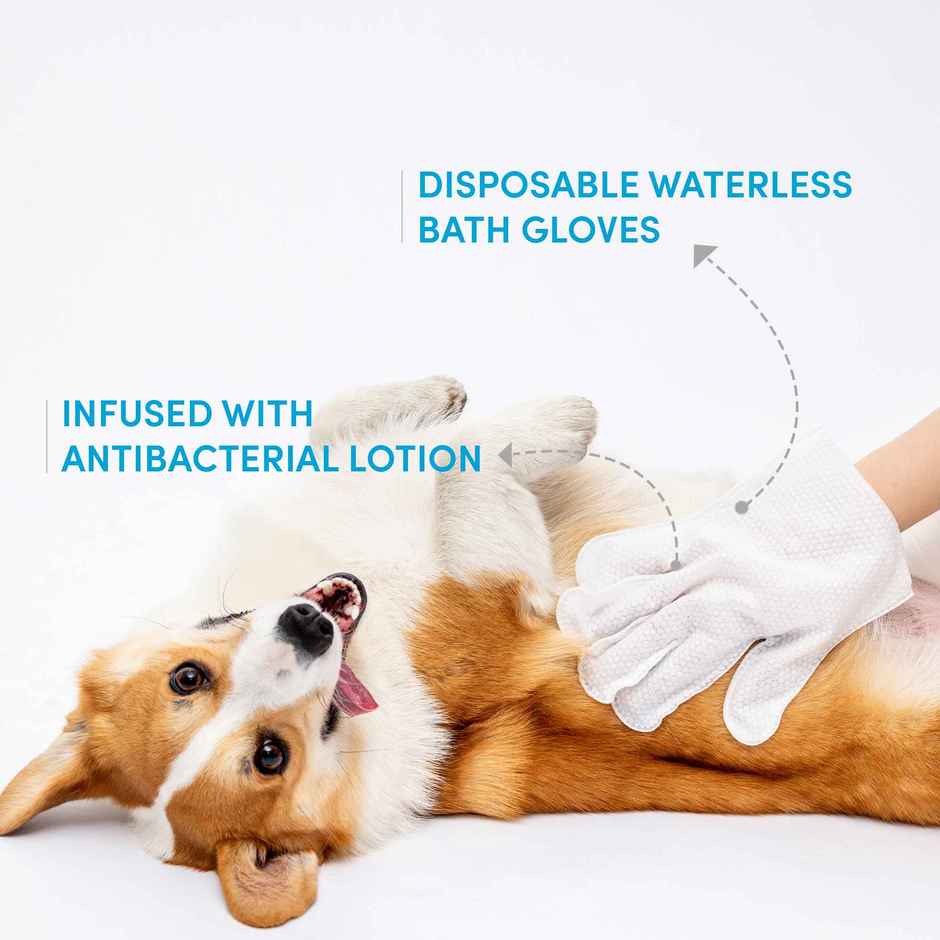 FOFOS 8 Waterless Wash Gloves | Shampoo Infused Dog Wet Wipes and Cat Wipes | Full Body Pet Wipes