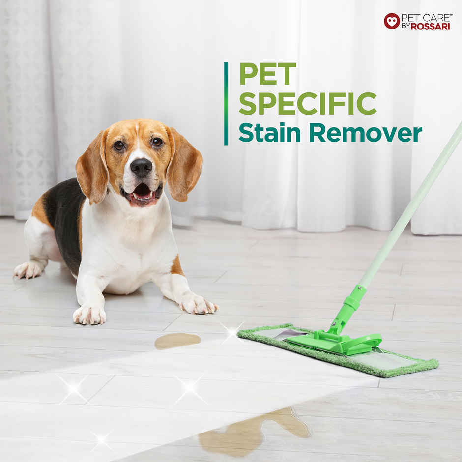 Lozalo Liquid Disinfectant Surface Cleaner with Neem Tulsi Turmeric Aloe Lemongrass