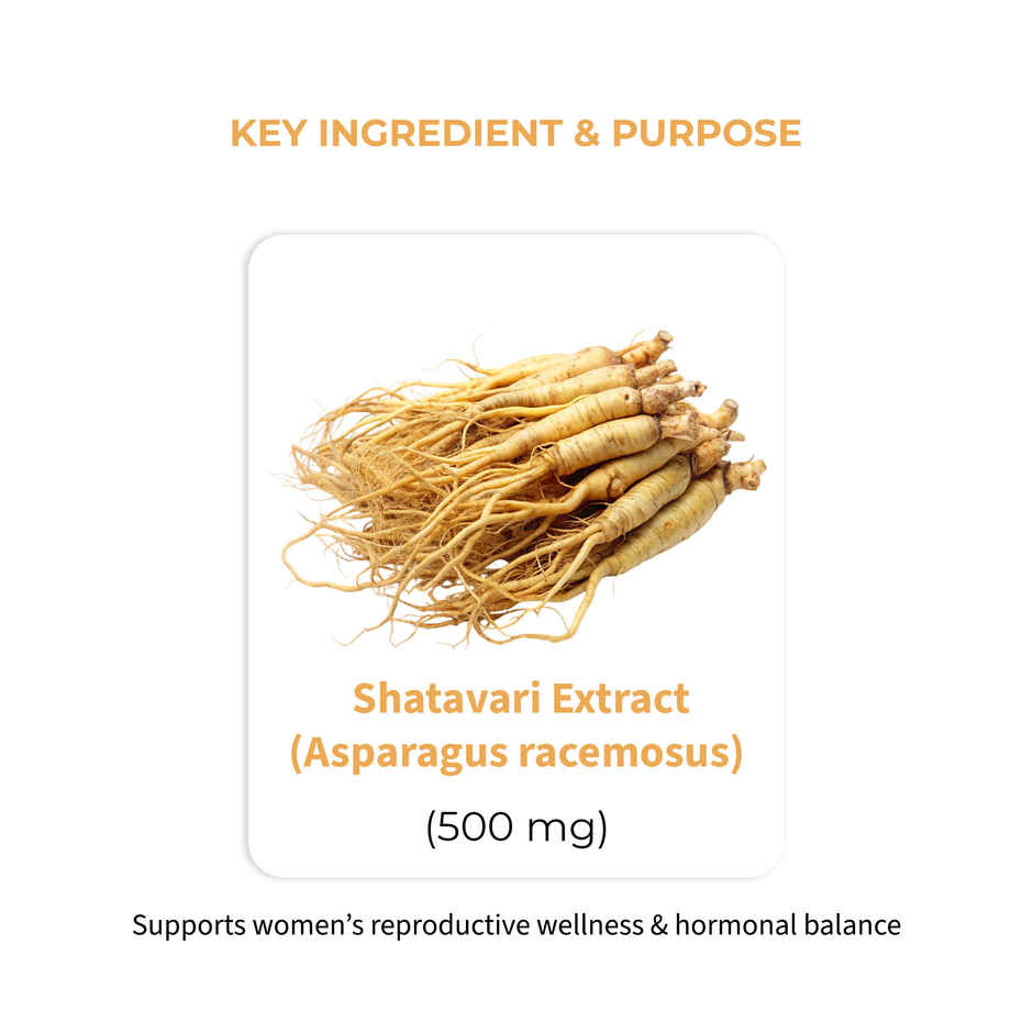 OYB Shatavari Tablets for Women's Health & Hormonal Balance | 30 Tablets | OYB Shatavari