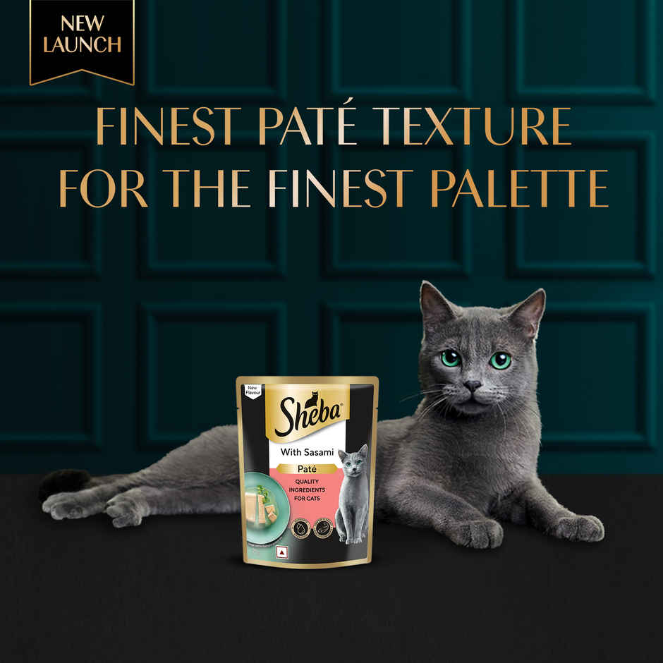 Sheba Pate Adult Wet Cat Food | Sasami