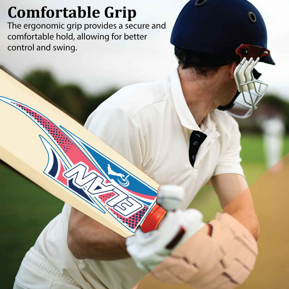 BATZ Elan Wooden Cricket Bat