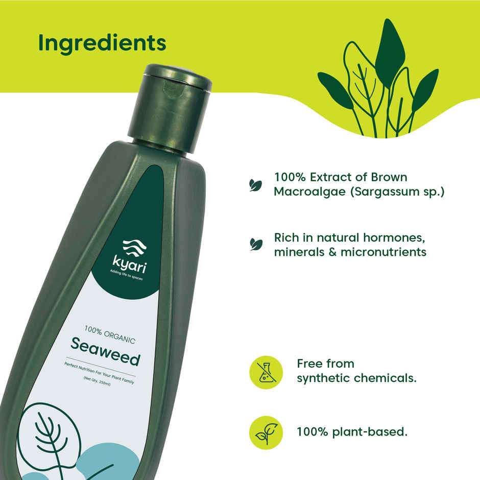 Kyari Seaweed Oil for Plants | 250 ml