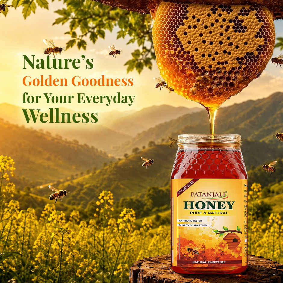 Patanjali Pure Natural Honey- No Added Sugar