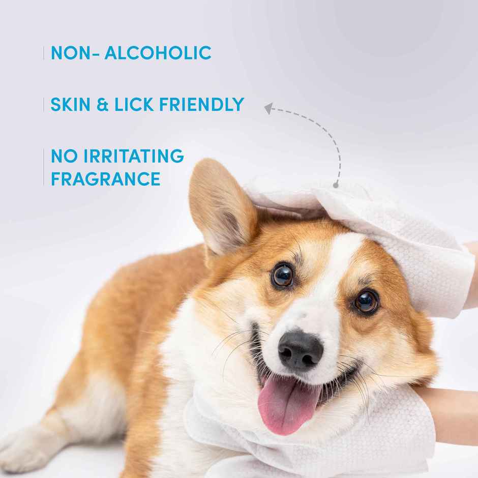 FOFOS 8 Waterless Wash Gloves | Shampoo Infused Dog Wet Wipes and Cat Wipes | Full Body Pet Wipes