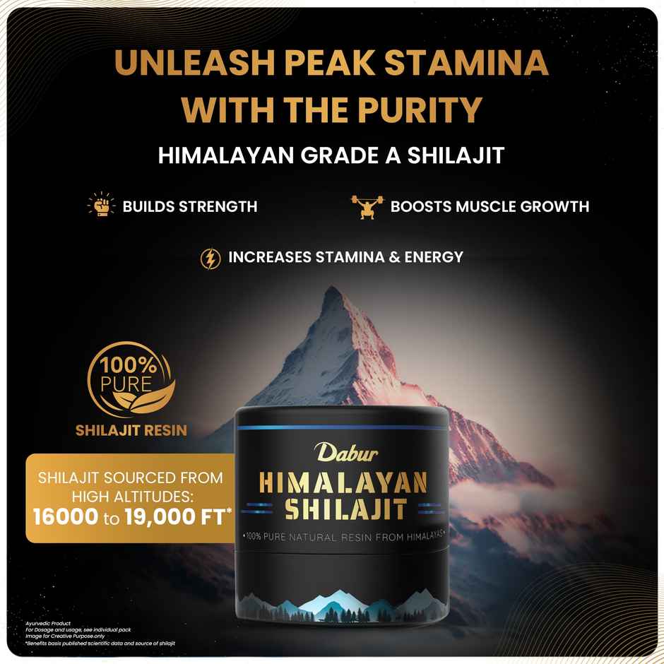 Dabur Himalayan Shilajit Resin | Natural Health Support