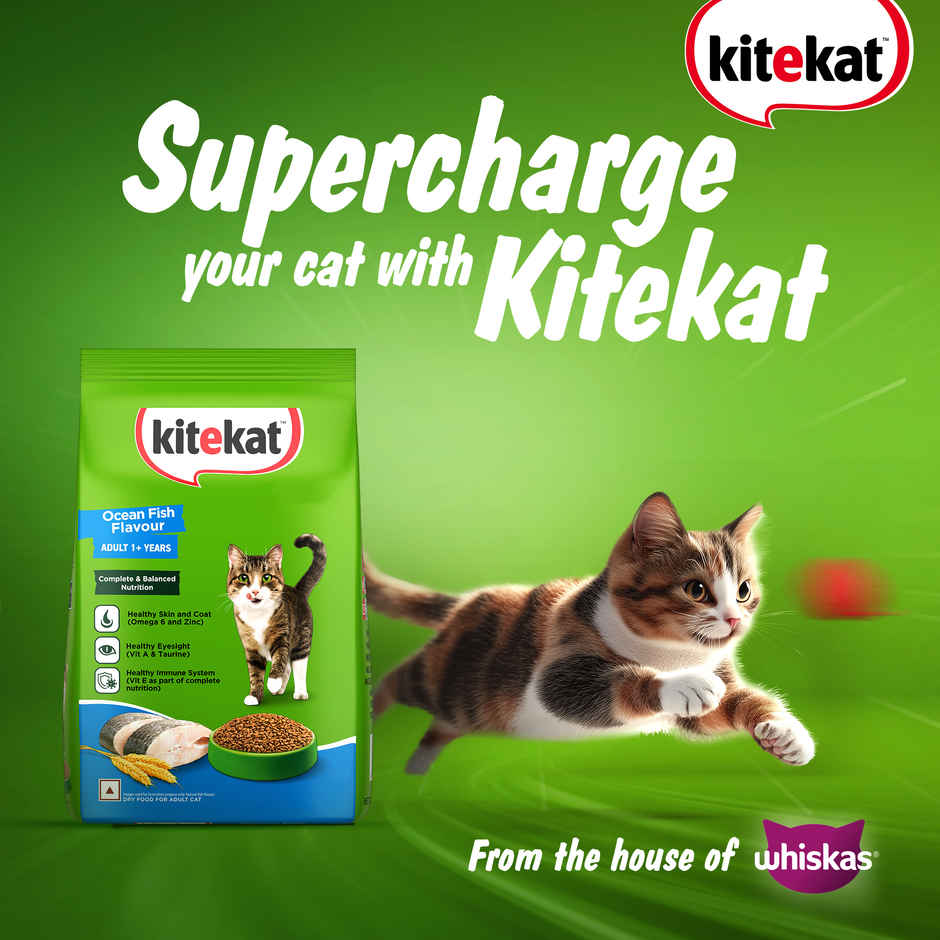 Kitekat Adult Dry Cat Food | Ocean Fish Flavour | 1+ Years