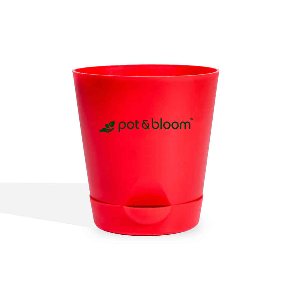 Pot And Bloom 4 Inch Self Watering Pot - Red