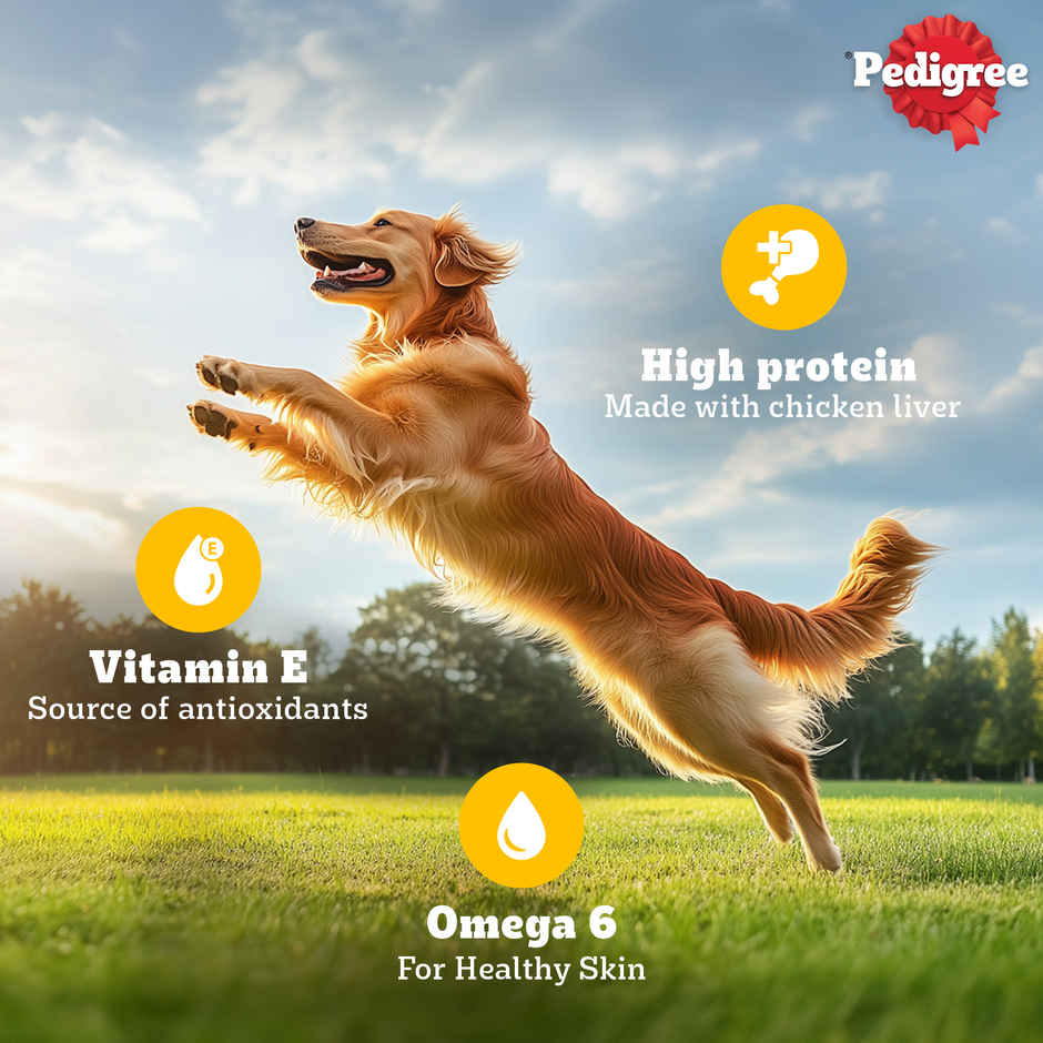 Pedigree Schmackos Stix Adult Dog Treat Grilled Liver Flavour