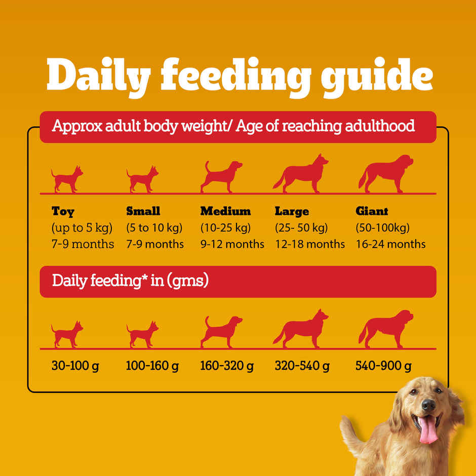 Pedigree Adult & Puppy Dry Dog Food | 100% Vegetarian