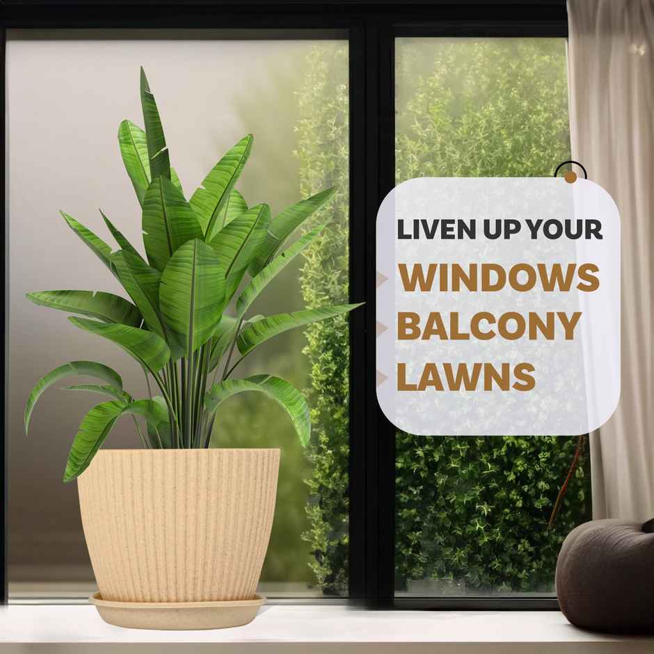 Kuber Industries Pack of 2 Flower Pots with Bottom Tray | Planters for Garden | Beige | 9 Inch