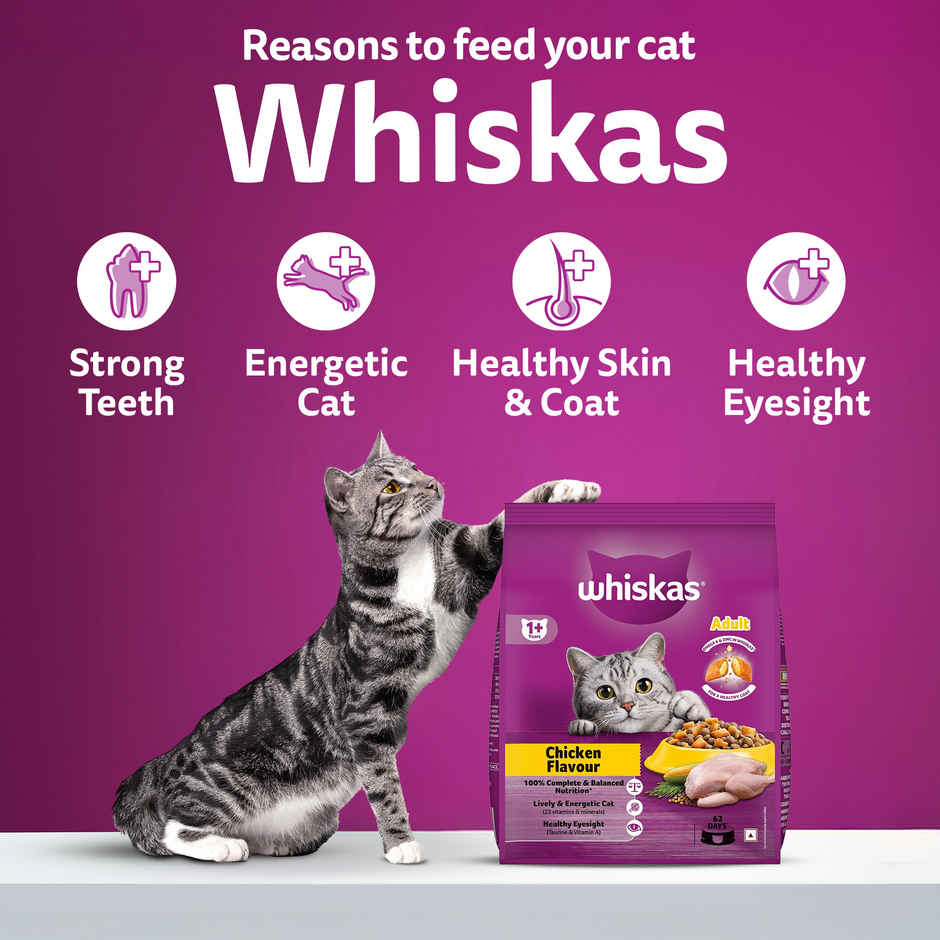 Whiskas Adult Chicken Flavour Dry Cat Food