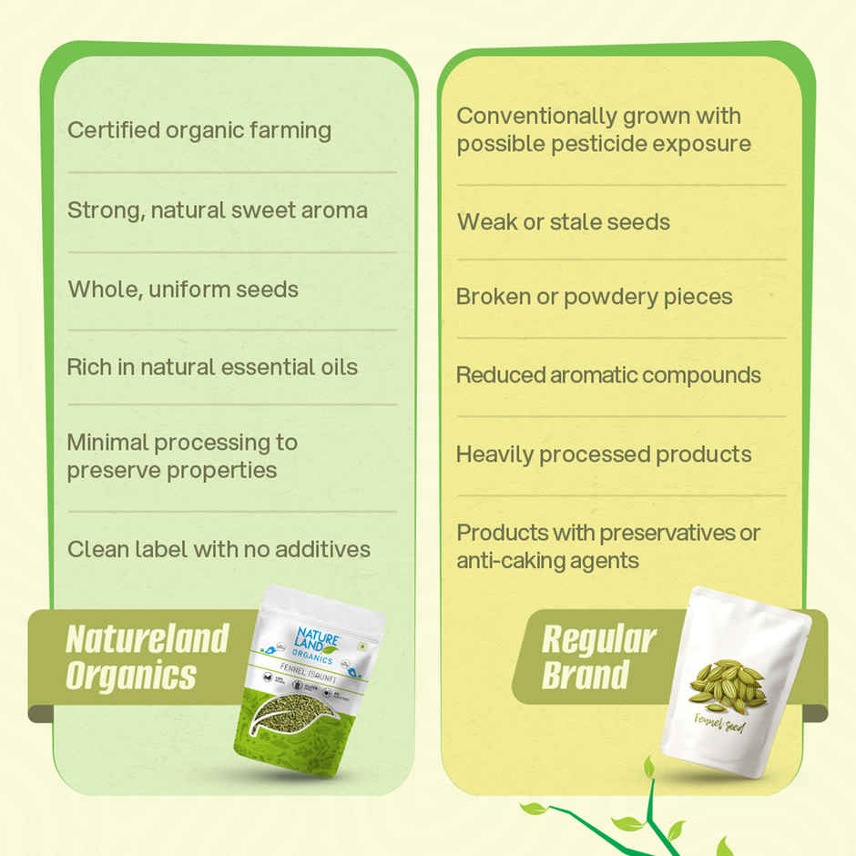 Natureland Fennel Organic Saunf Seeds