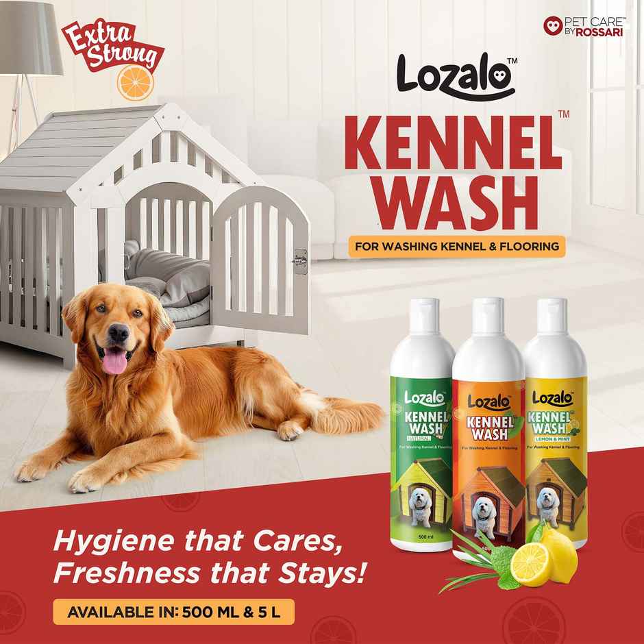 Lozalo Kennel Wash Liquid for Dog Kennel Flooring Pet Shops Clinics Salons Red