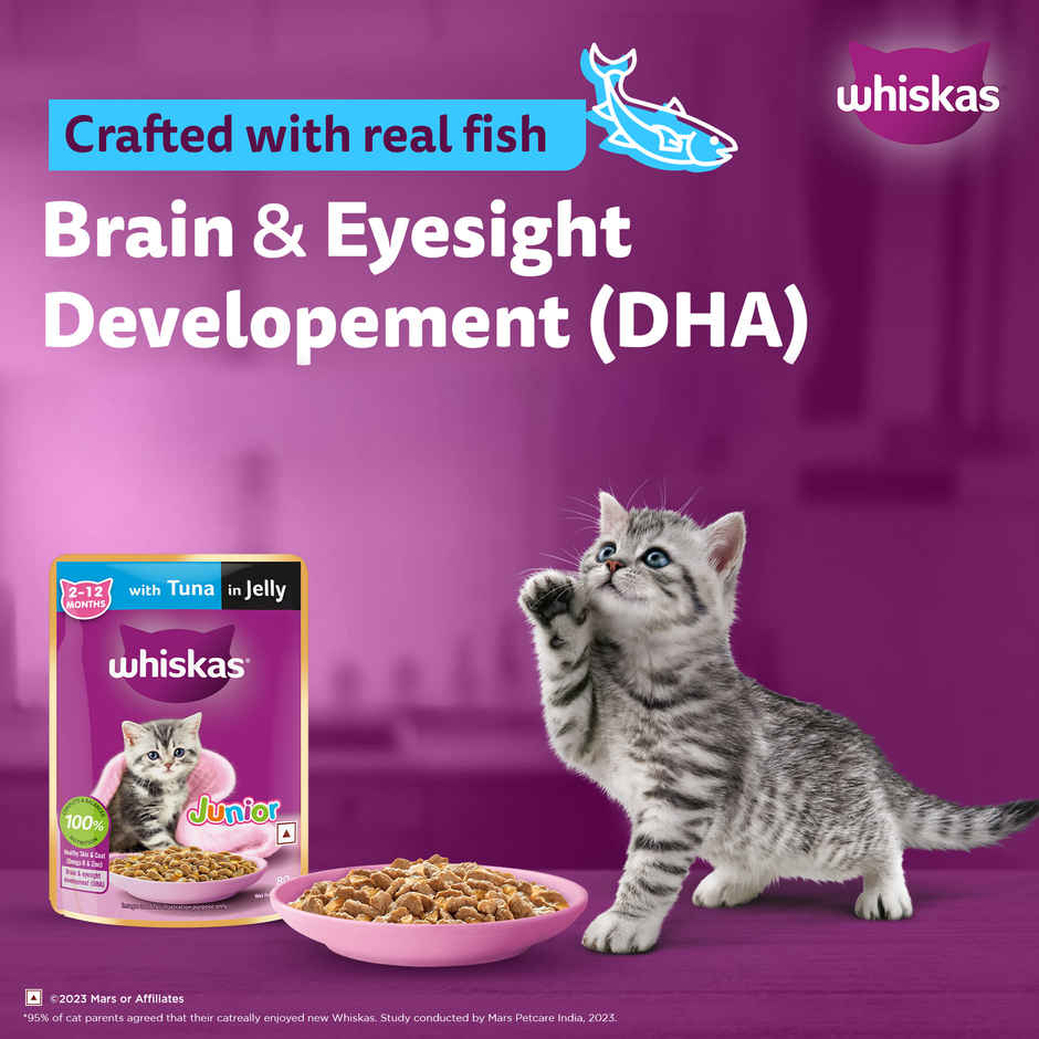 Whiskas Junior Tuna in Jelly Wet Cat Food