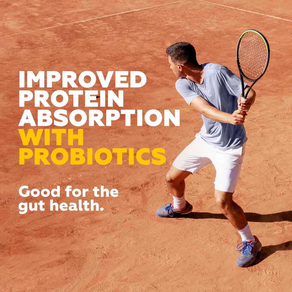 Yoga Bar No Added Sugar 20g Protein Bars|Added Probiotics & Whey| 20g Protein|Pack of 5 x 70g Each