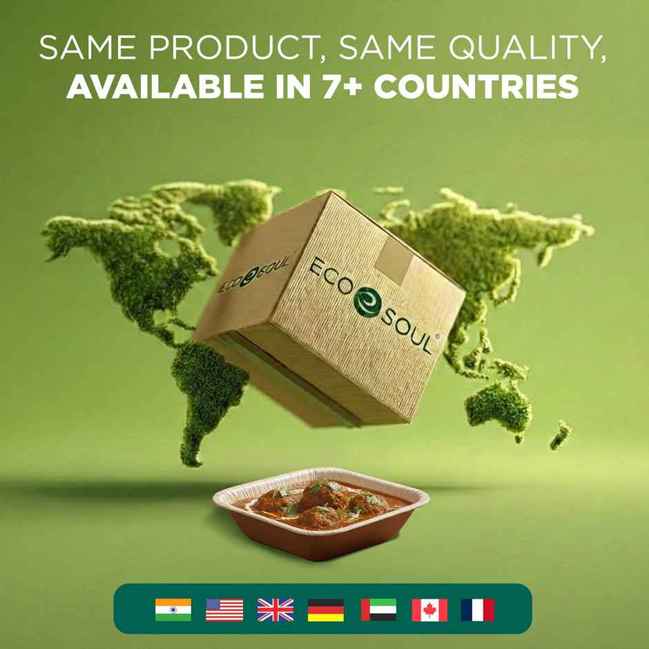 ECO SOUL | Palm Leaf Disposable Bowl | 500 ml | Square | 10 Count