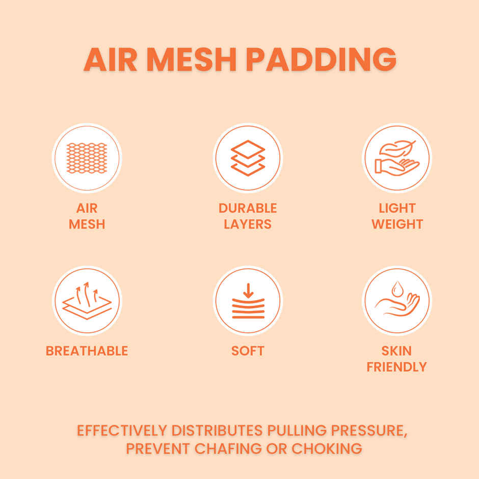 KIBBO Padded Reflective & Adjustable Dog Collar | Blue - Large