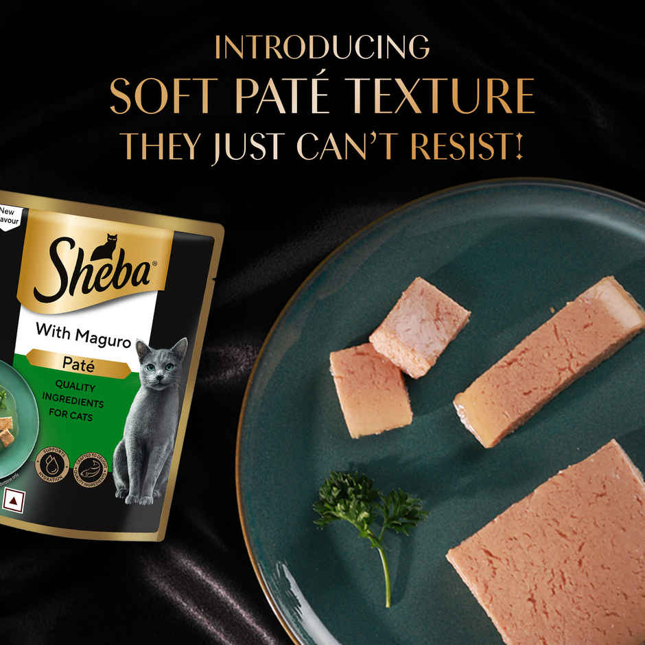 Sheba Pate Adult Wet Cat Food | Maguro