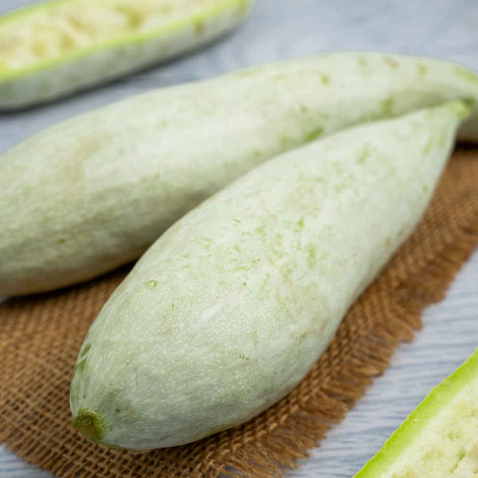 Snake Gourd